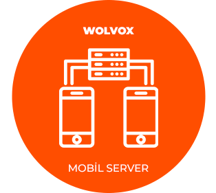 wolvox,bireysel,akınsoft mobil server