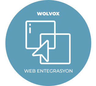 wolvox,bireysel,akınsoft web entegrasyon